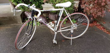 日本盧德摩托車代購與二手市場指南 價(jià)格、渠道與購買注意事項(xiàng)